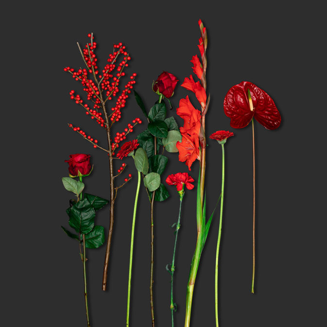 Surprise bouquet red