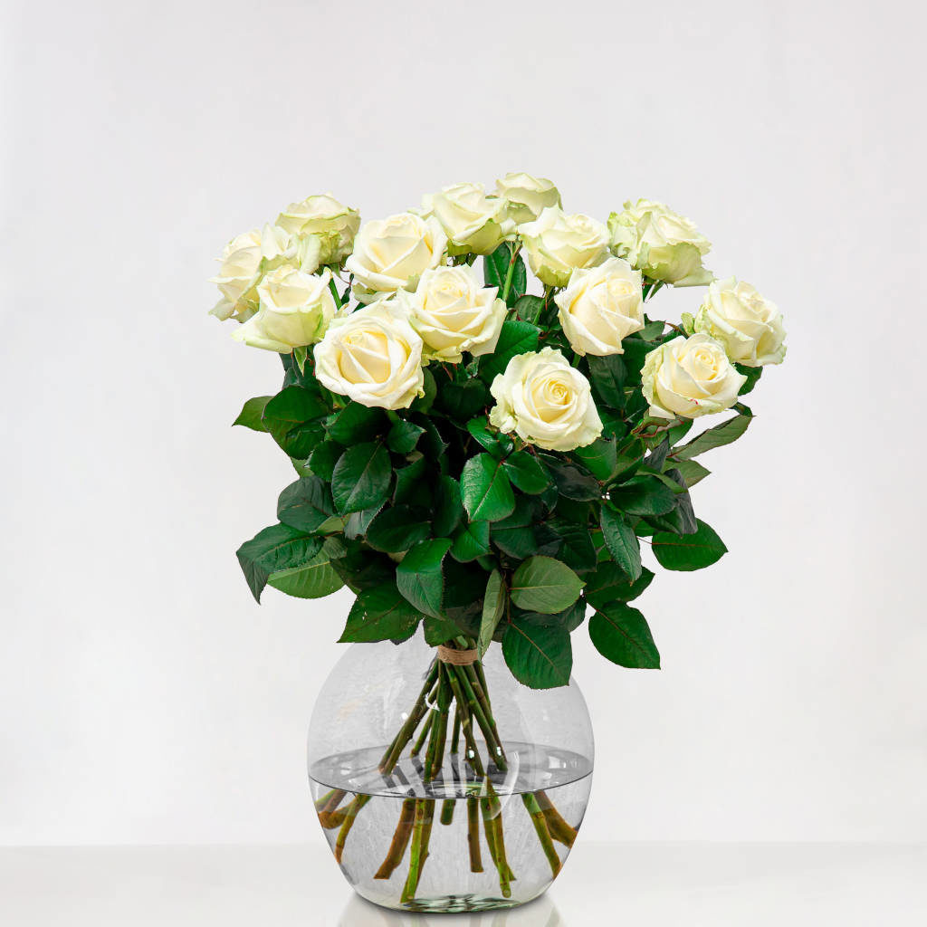Vet breng de actie koppeling Witte rozen per stuk